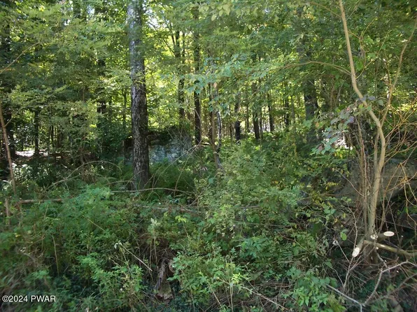 3 Gilpin Rd, Newfoundland, PA 18445