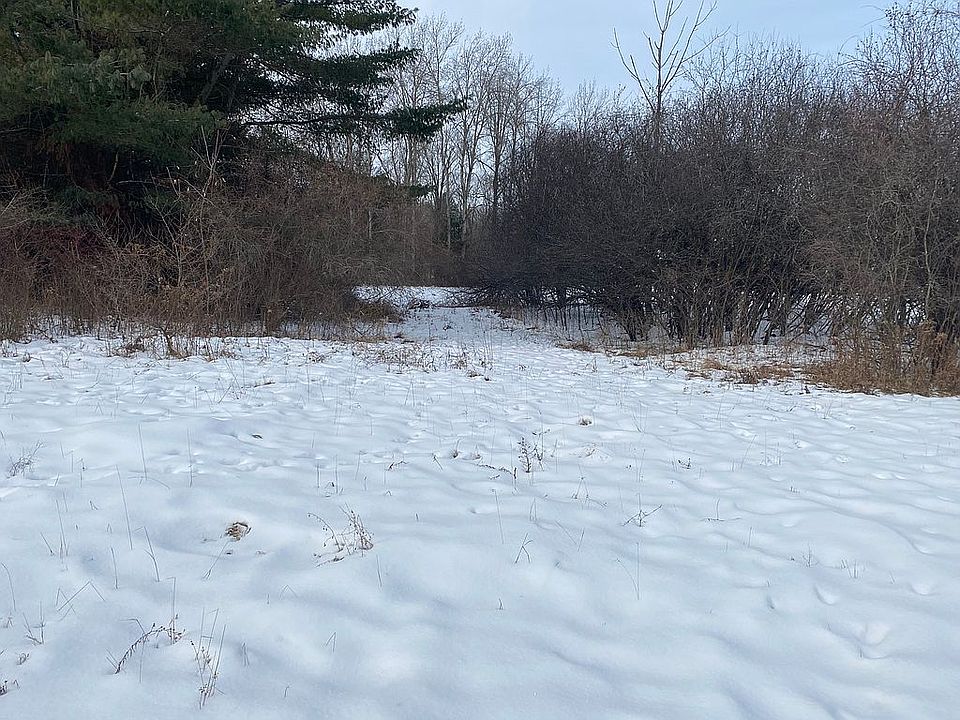 Picture from Mayfly Drive