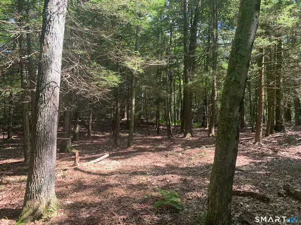 Lot 1 West Chalybes Road, Roxbury, CT 06783