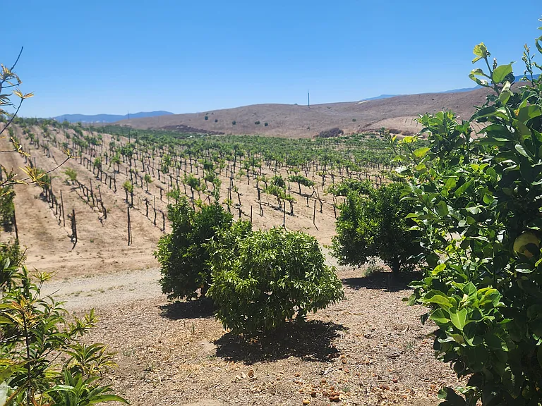 32185 Vista Del Monte Rd — Photo 42