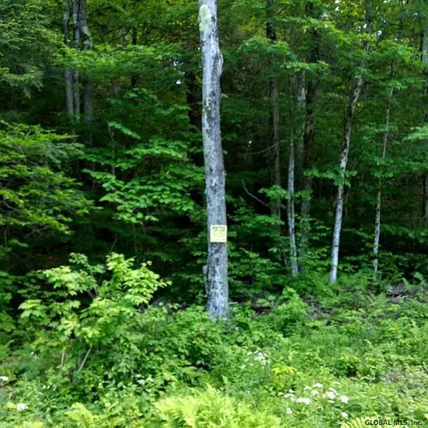 2nd image of 0 BROOME CENTER Road
