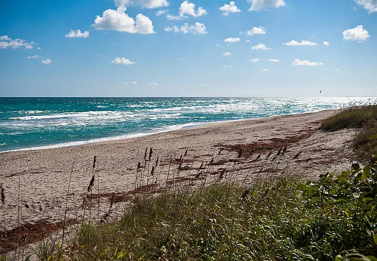 120 Jupiter Key Rd #Penthouse 4 — Photo 28