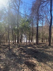 0 Quail Run Rd, Tyler, TX, 75709