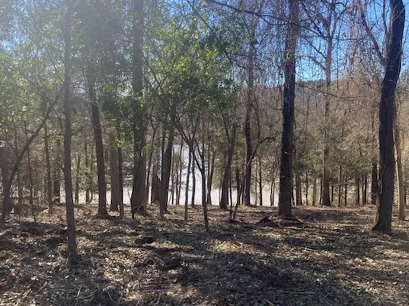 0 Quail Run Rd, Tyler, TX 75709