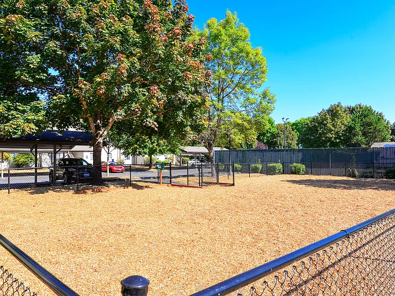 The Dog Park at Capitol City in Lacey, WA