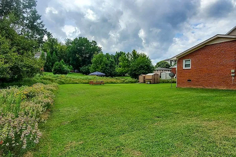 Side yard with perimeter native meadow