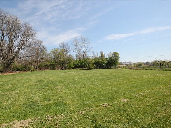 5th image of 7856 Strout Rd