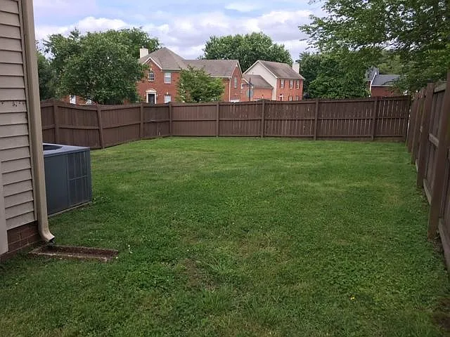 East side of back yard