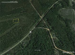 Wrightsville Land, Wrightsville, GA 31096