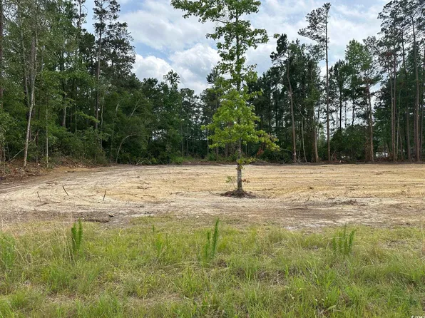 TBD 1 Saint John Rd., Galivants Ferry, SC 29544