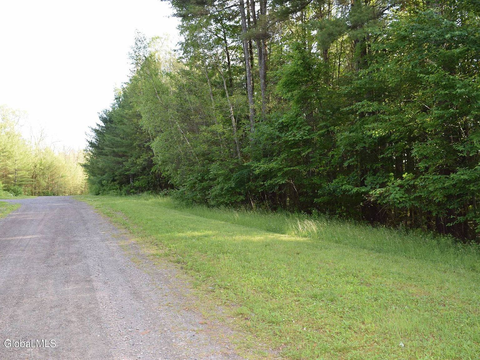 0 Hawthorne Hill Rd, East Chatham, NY 12060 MLS 11204607 Zillow