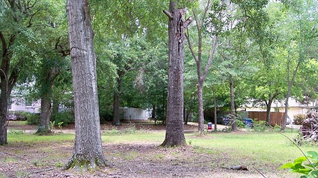 2nd image of 801 Maryland Dr