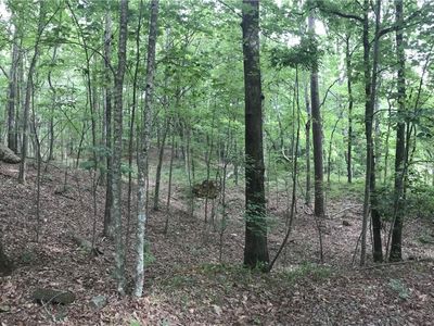 325 Holly Springs Rd NE Lot 0, White, GA, 30184