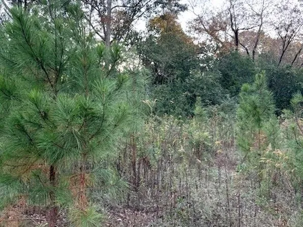 0 Barrow Rd, Red Level, AL 36474