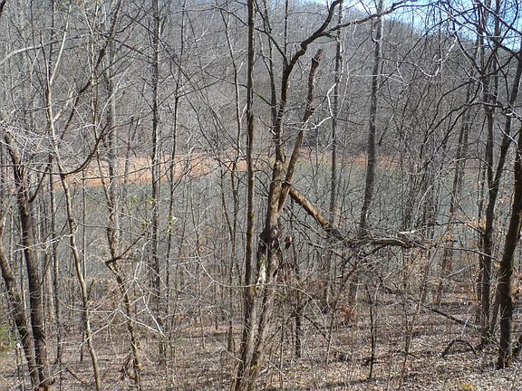 2nd image of 1020 Hiwassee Dr