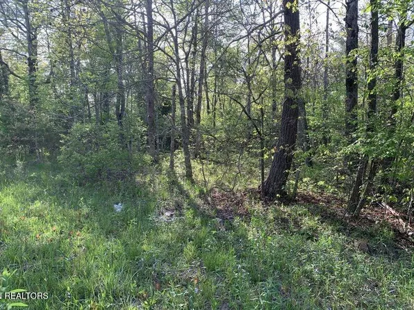1035 Redwing Dr, Crossville, TN 38572