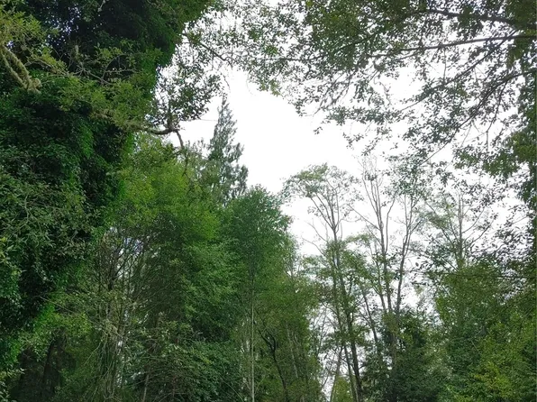 216 W Griffith Street, Aberdeen, WA 98520