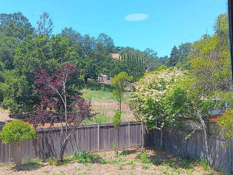 15 Carmel Dr — Photo 13