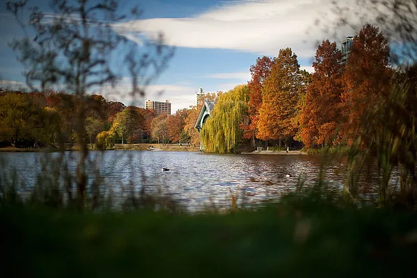 Sold by A & I Broadway | media 3