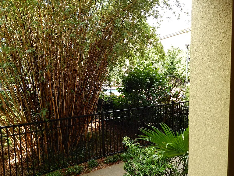 520 S Armenia Ave #1217 — Photo 20