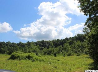 Mountain View Rd, Union Grove, AL 35175