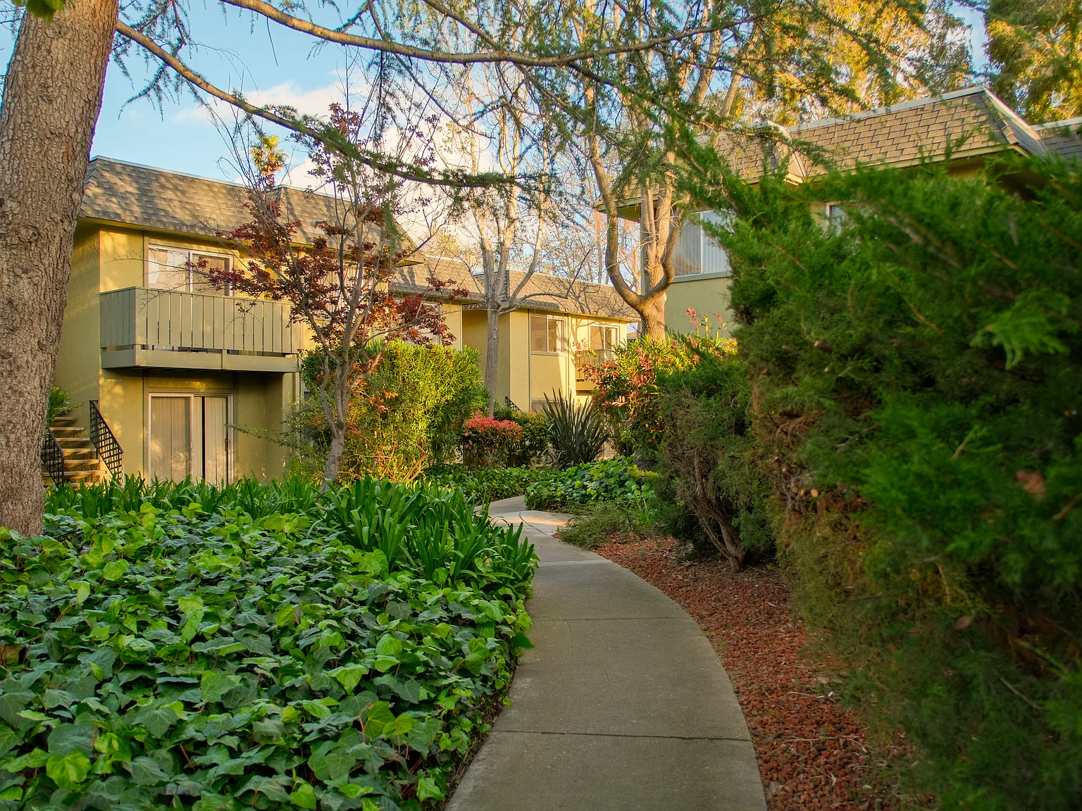 Olive Tree Apartments — Photo 3