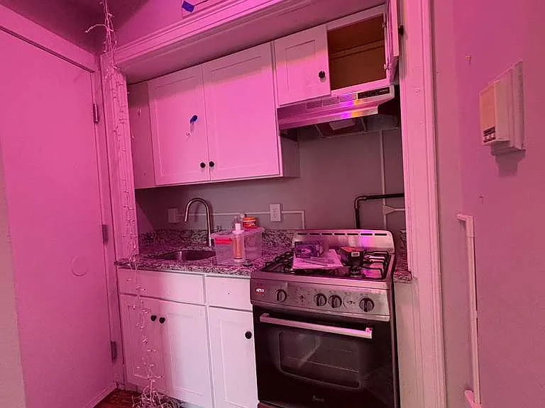 1175 Chapel St #4011 — Photo 9