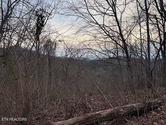 3rd image of 971 Scenic River Rd