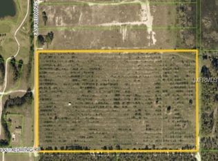 8360 Wild Flower Ave, Groveland, FL 34736