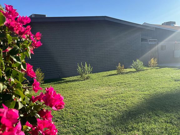Front Yard