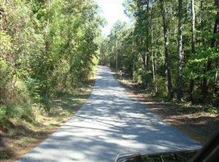 73 Maple Ln, Chapin, SC 29108