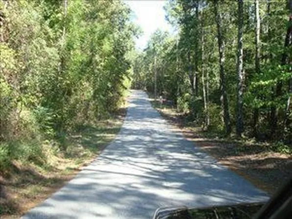 73 Maple Ln, Chapin, SC 29108