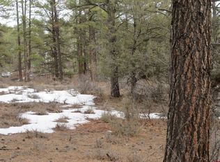 764 Meadow Lark Dr, Pagosa Springs, CO 81147