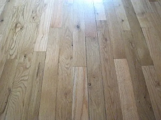 Rented by Cooper & Cooper Real Estate | media 17