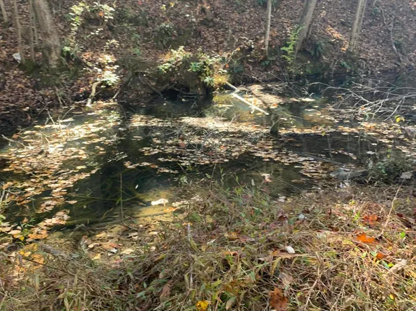 Garland Branch Rd, Watauga, TN 37694