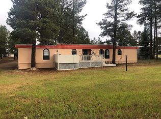3063D El Bordo Hwy #434, Angel Fire, NM 87710