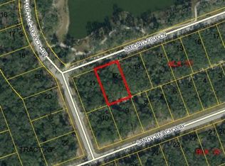 33 Smiling Fish Ln, Palm Coast, FL 32137