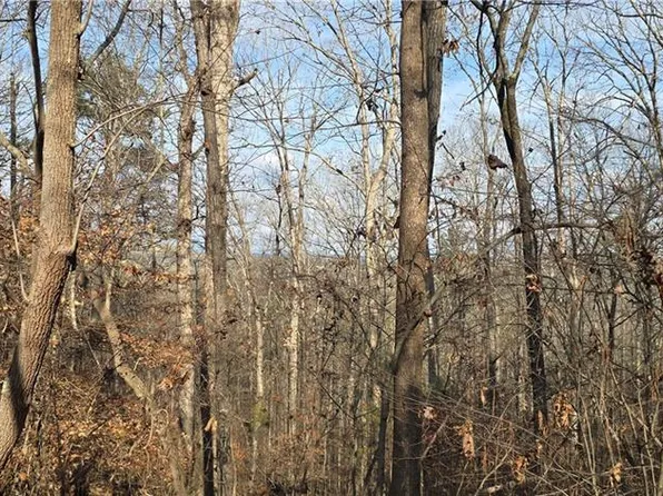1 Matt Hwy, Ball Ground, GA 30107