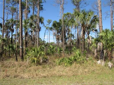 XXXX 14th AVE SE, Naples, FL, 34117