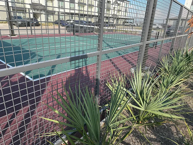 Anise Dr — Photo 22
