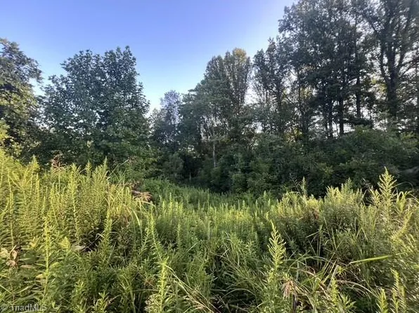 0 Mount Bethel Church Rd Lot 2, East Bend, NC 27018