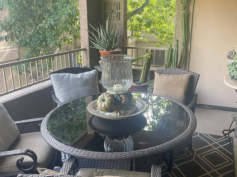 beautiful patio, with roll down shade for privacy , Aloe and cactus_