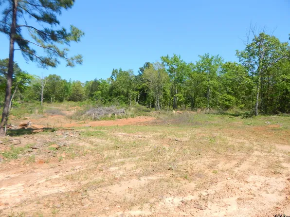 Fm 1795 Side #2, Big Sandy, TX 75755