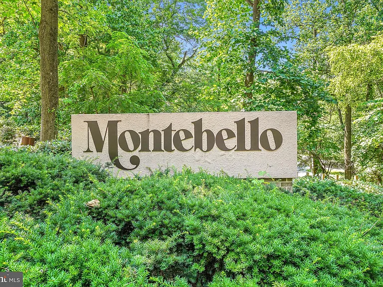 5901 Mount Eagle Dr #1517 — Photo 32