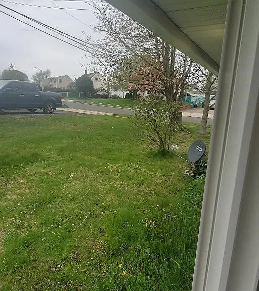 back yard
