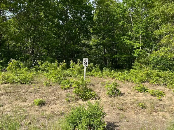 LOT 9 Renaissance Dr, Manistee, MI 49660