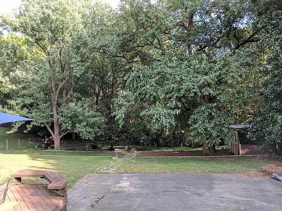 Backyard from back porch.