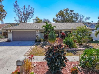 12345 Yellow Rose Cir, Riverview, FL, 33569