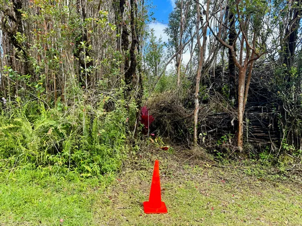 Nene St Lot 32, Mountain View, HI 96771
