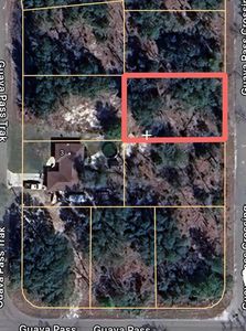 GUAVA PASS CROSSING LOT 5, Ocklawaha, FL, 32179